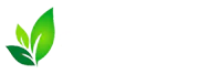 BestOrganicFood.sg