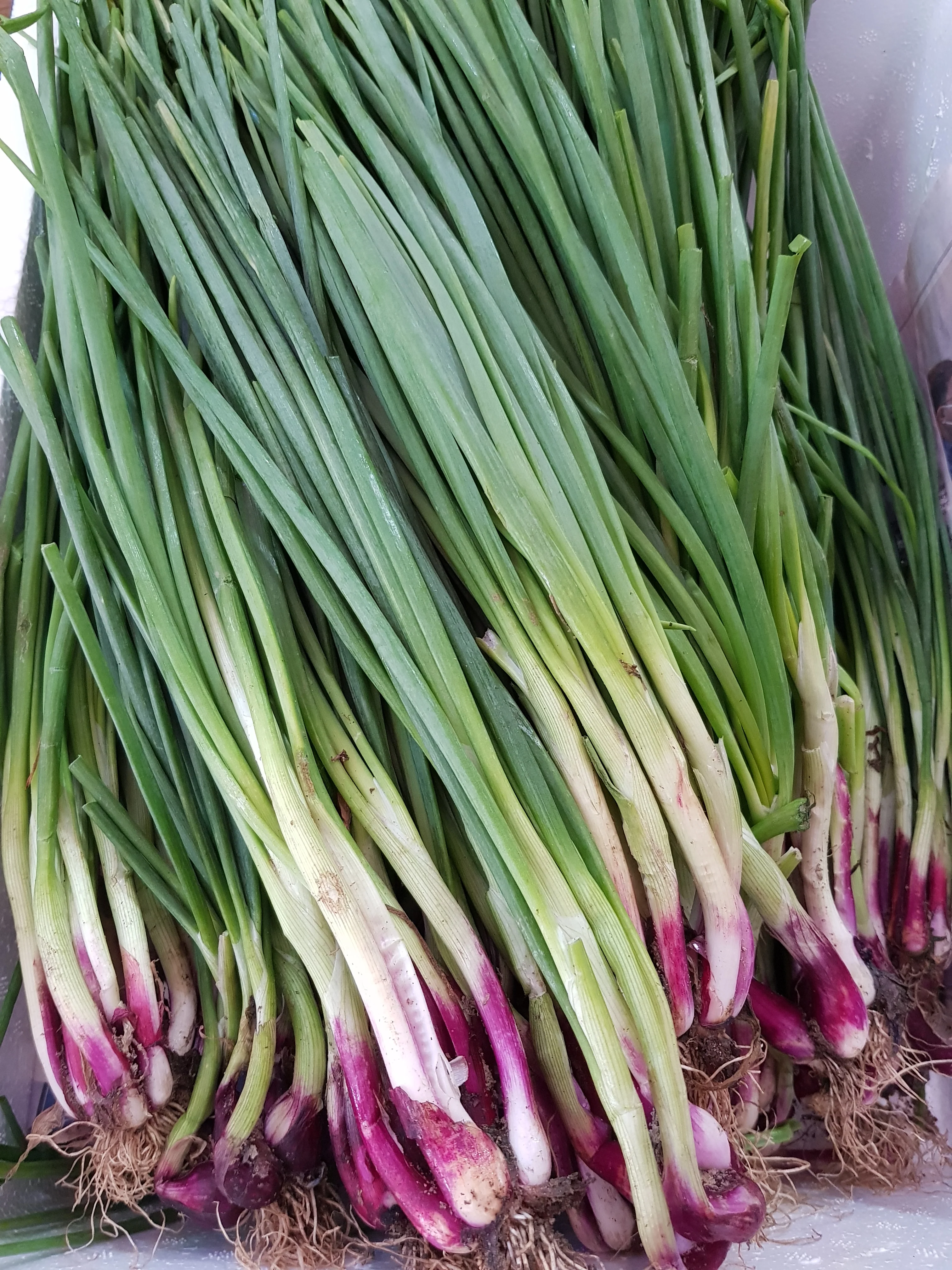 Other Organic Vegetables